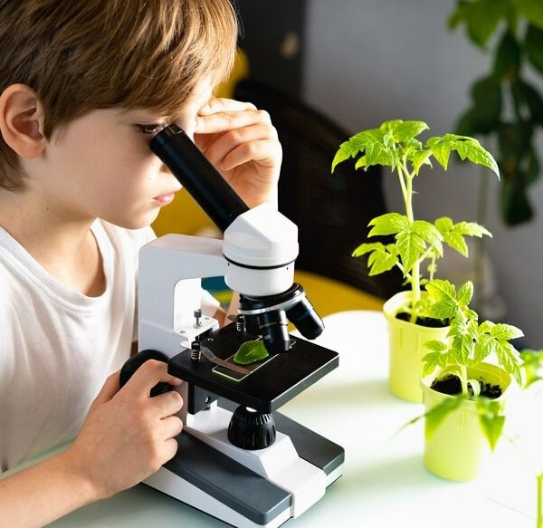 The Green Revolution- Environmental Science for Kids