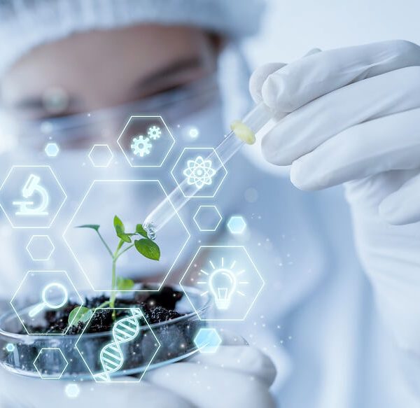 The Significance of Environmental Science: Nurturing Future Stewards