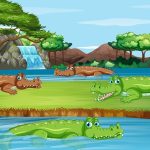 exploring-amphibians