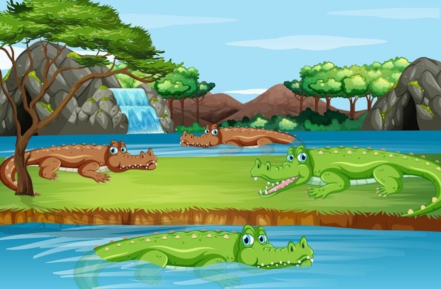 exploring-amphibians