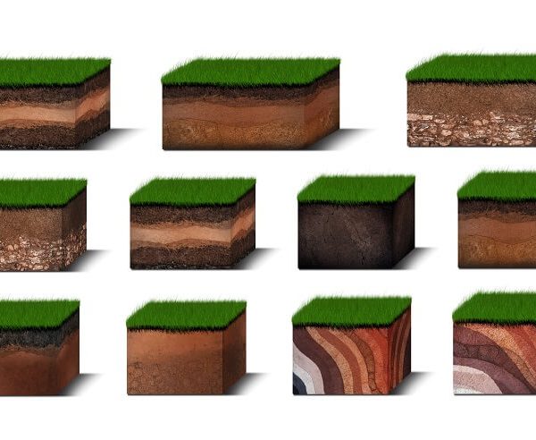 Fun Ways to Teach Young Children about Soil