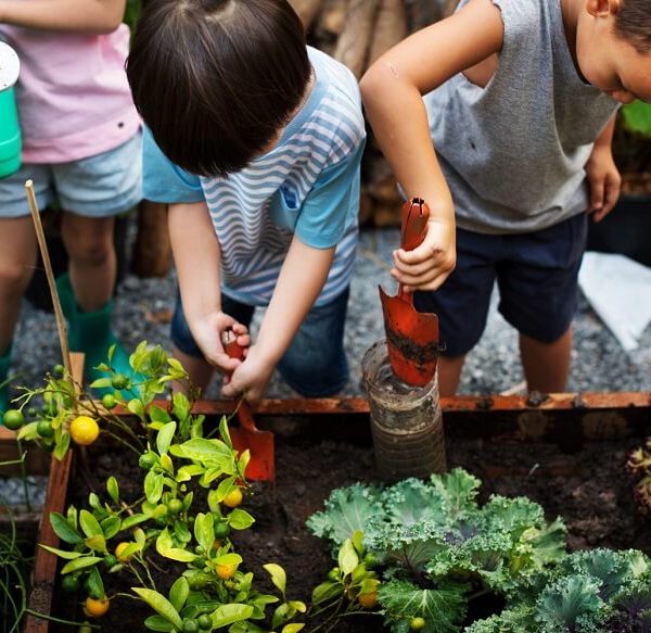 Gardening: Growing a Vegetable Garden with your kids