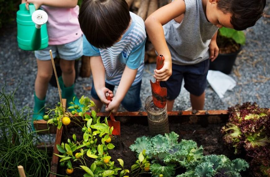 growing-a-vegetable-garden-with-kids