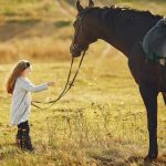 horse-facts-for-kids
