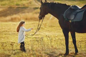 horse-facts-for-kids