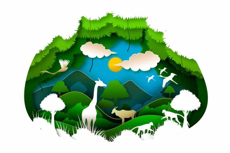 international-day-for-biological-diversity