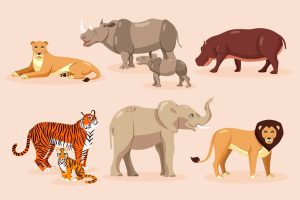 kids-guide-to-herbivores-carnivores-omnivores-in-animal-kingdom