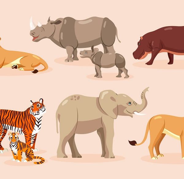 kids-guide-to-herbivores-carnivores-omnivores-in-animal-kingdom