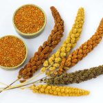 Millet based snack box ideas for kids