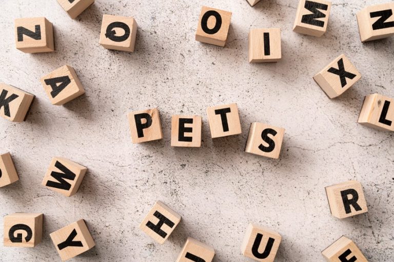 singular-plural-nouns