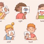 teaching-facial-features-to-kids