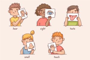 teaching-facial-features-to-kids