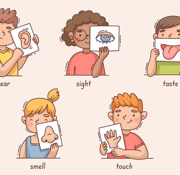 Names of Face Parts and Fun Learning Activities