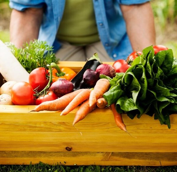 benefits-of-farm-to-table