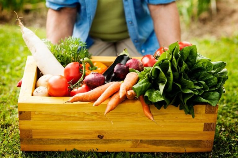 benefits-of-farm-to-table