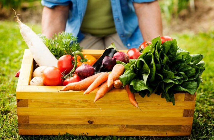 benefits-of-farm-to-table
