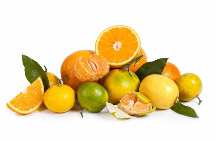 citrus-fruit-names