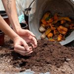 composting-for-kids
