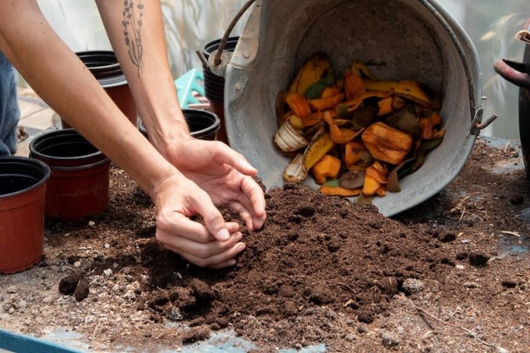 composting-for-kids