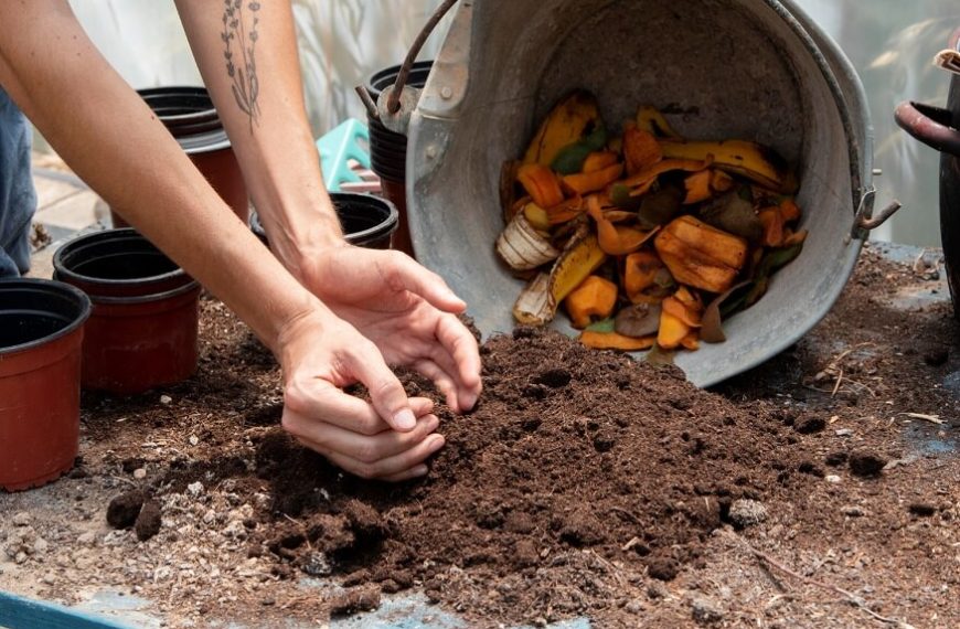 composting-for-kids