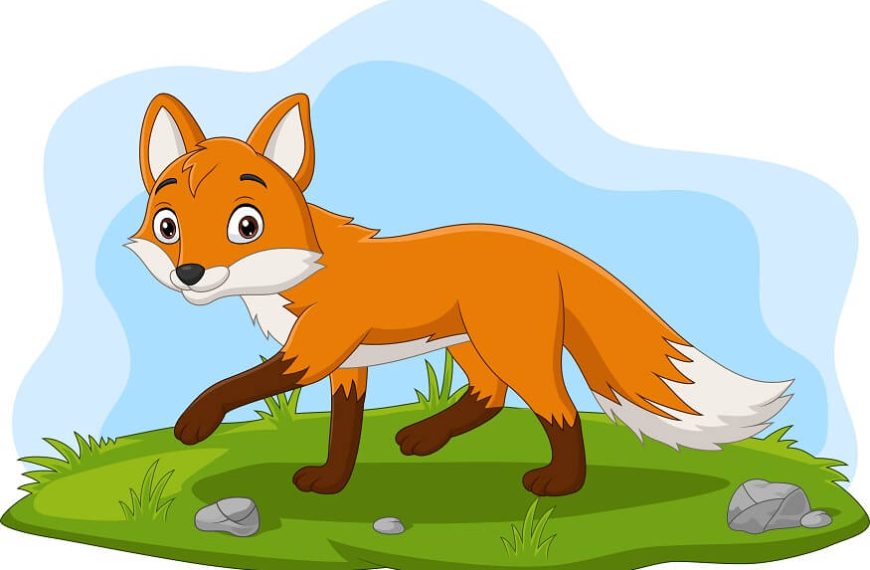 cunning-fox-story