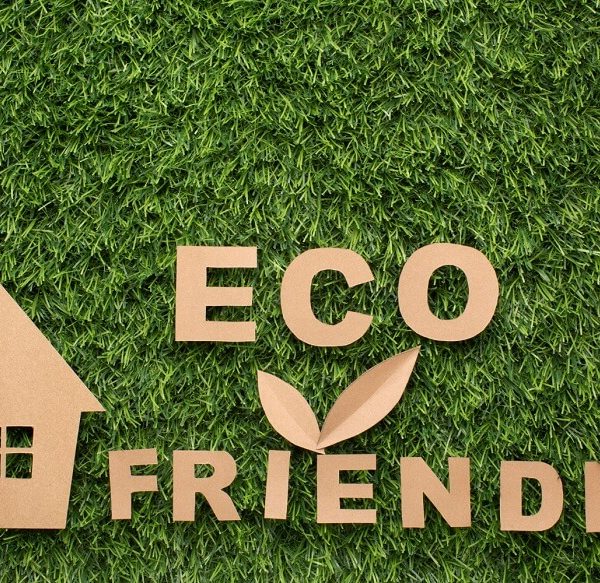 Eco Friendly Living Ideas for Kids: Empowering the Next Generation