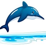 fascinating-dolphin-facts