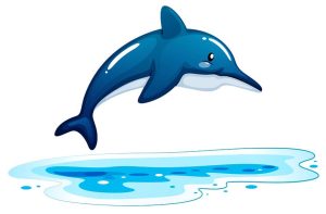 fascinating-dolphin-facts