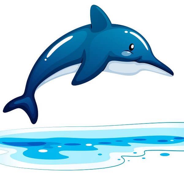 fascinating-dolphin-facts