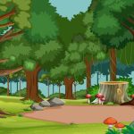 forests-for-kids-definnition-facts