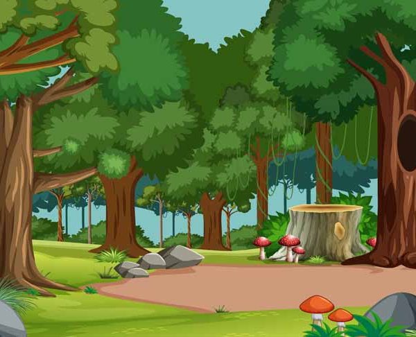 forests-for-kids-definnition-facts