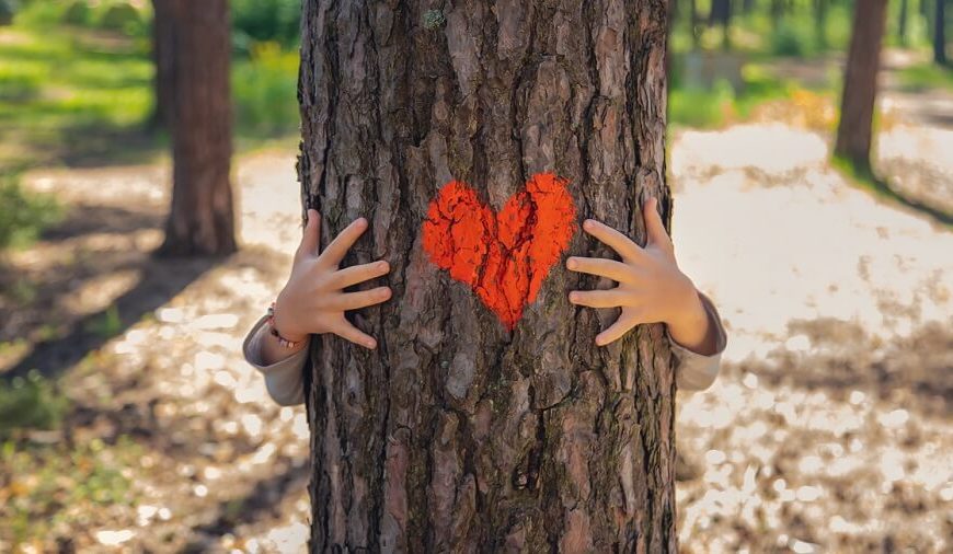 giving-tree-story
