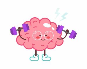 how-baby-brains-develop