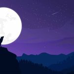 teaching-your-kids-about-nocturnal-animals