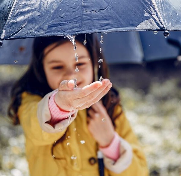 Weather Watch Making a Toddler Weather Chart