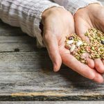 edible-seeds