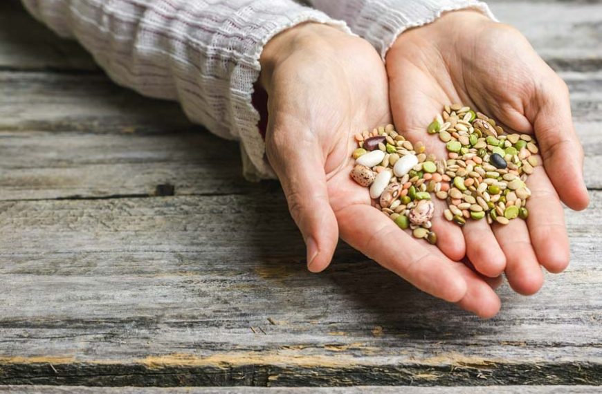 edible-seeds