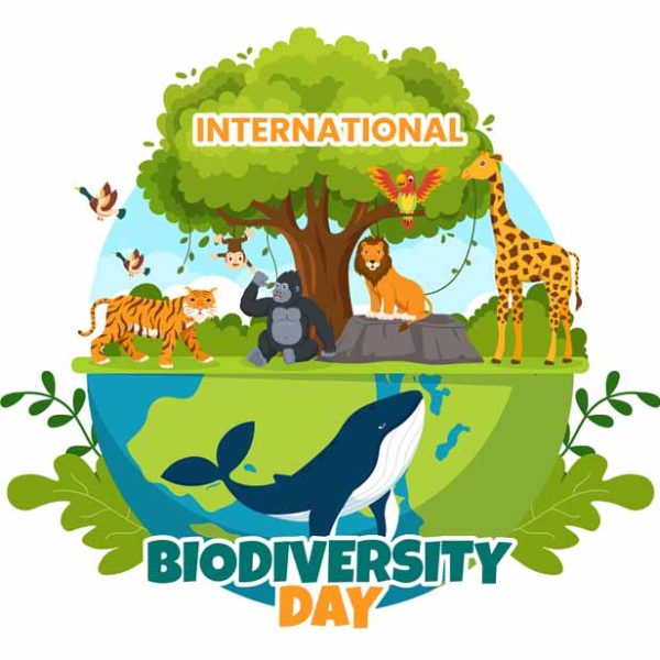 international-biodiversity-day