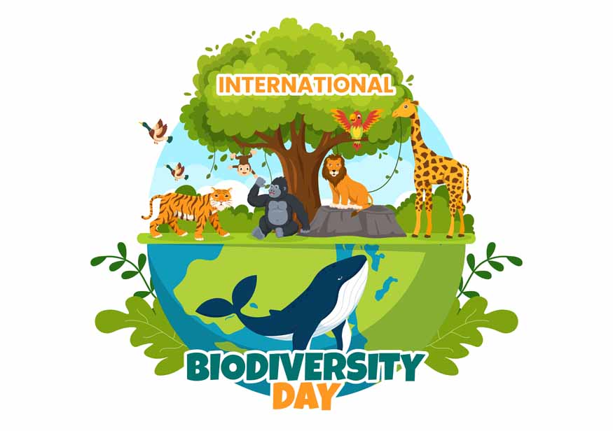 Fun & Educational Activities for Kids on Biodiversity Day
