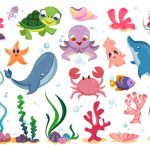 ocean-animals