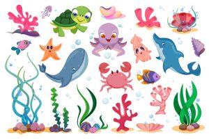 ocean-animals