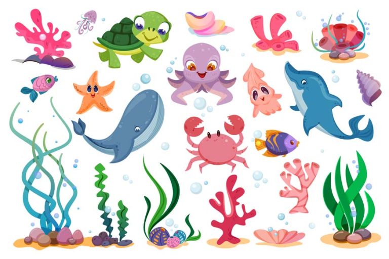 ocean-animals
