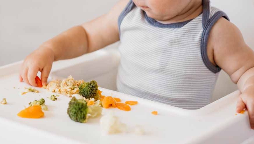 toddler-nutrition-myths