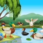 animals-that-live-on-land-and-water