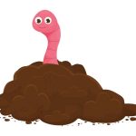 facts-about-earthworms