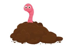 facts-about-earthworms