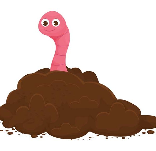 facts-about-earthworms