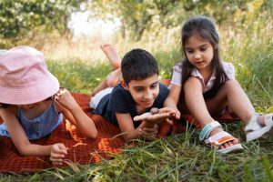 farm-activities