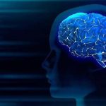 nutritional-deficiencies-on-brain