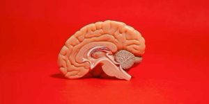 brain-benefits